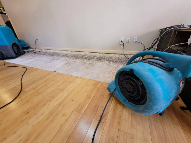 Professional Structural Drying technician working in Lester Prairie, MN
